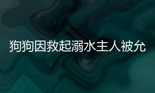 狗狗因救起溺水主人被允許上桌吃飯，一段感人至深的忠誠(chéng)故事