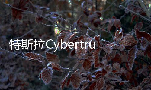 特斯拉Cybertruck發(fā)生爆炸 馬斯克：與車輛本身無(wú)關(guān)