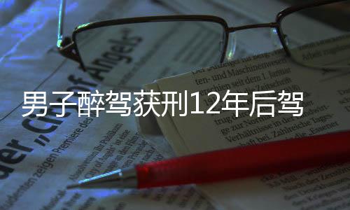 男子醉駕獲刑12年后駕照被吊銷，交通違法行為的長期影響與警示教育重要性