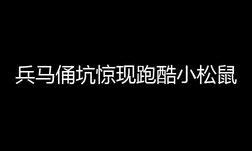 兵馬俑坑驚現(xiàn)跑酷小松鼠，神秘事件揭秘