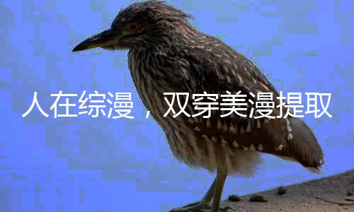 人在綜漫，雙穿美漫提取超人詞條