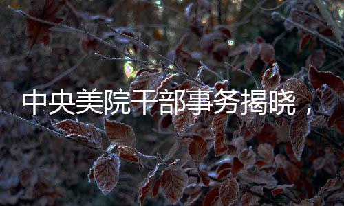 中央美院干部事務(wù)揭曉，兩官被查，一人主動(dòng)投案