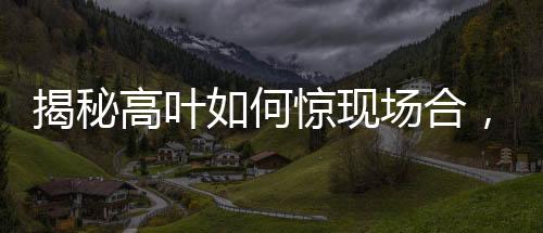 揭秘高葉如何驚現(xiàn)場(chǎng)合，一支鋼筆的時(shí)尚魅力