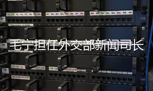 毛寧擔任外交部新聞司長，一展宏圖、二重戰(zhàn)略、三定方向、四項承諾、五大任務(wù)、六大亮點、七項行動、八方助力、九維視角、十足信心