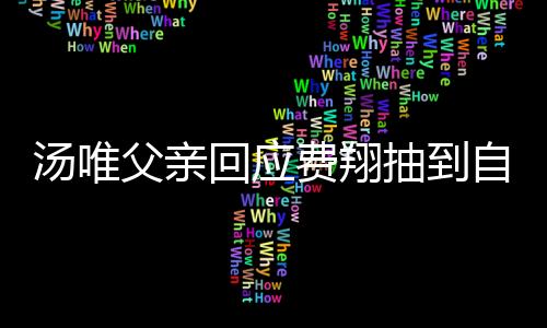 湯唯父親回應(yīng)費翔抽到自己的書法作品，一段跨越文化的佳話