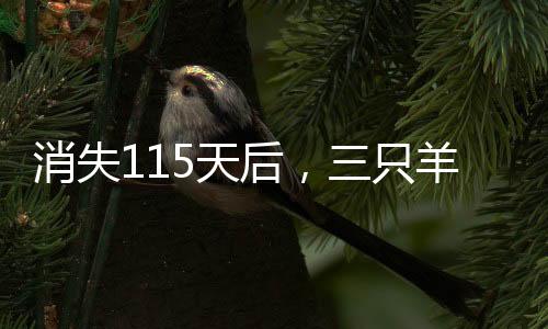 消失115天后，三只羊重歸直播間，再現(xiàn)年貨銷售熱潮