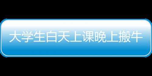 大學(xué)生白天上課晚上搬?！剿餍@內(nèi)外的雙重生活