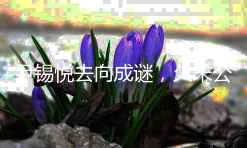 尹錫悅?cè)ハ虺芍i，久未公開露面引發(fā)多方關(guān)注