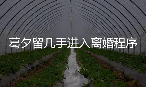 葛夕留幾手進入離婚程序——深度解析