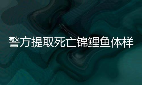 警方提取死亡錦鯉魚體樣本送檢，揭開離奇死亡事件真相