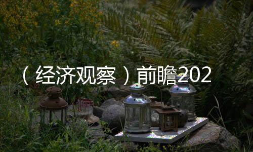 （經(jīng)濟(jì)觀察）前瞻2025：中國房地產(chǎn)市場或現(xiàn)四大變化